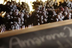 amarone - appassimento