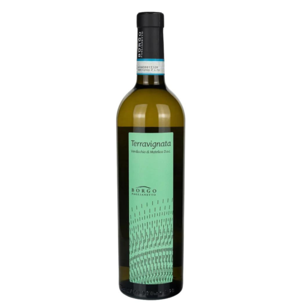 Bio - Terravignata Verdicchio di Matelica DOC - Enolike