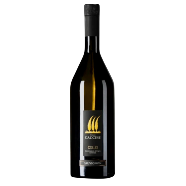 Enolike - Sauvignon DOC - Cantina Paolo Caccese