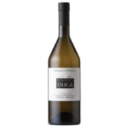 Enolike - Pinot Grigio DOC - Colle Duga- Friuli Venezia Giulia