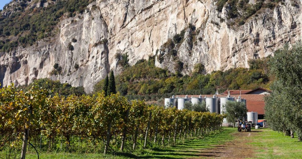 La cantina  Madonna delle Vittorie